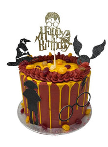 Harry Potter Novelty Cake